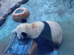 -乐和乐都主题乐园