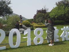 -桃花岛景观公园