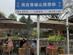 -张醪糟