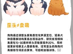 -瑞派·关忠动物医院(国瑞店)