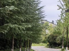 -铁山坪森林公园