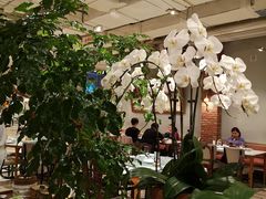 大堂-漢舍中国菜馆(889广场店)