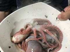 -东海章鱼馆(恒瑞街店)