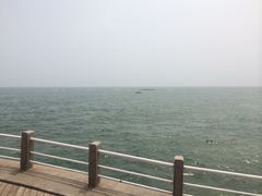 -日照灯塔风景区