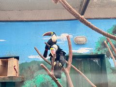 -沈阳森林动物园