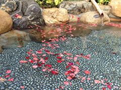 -厦门日月谷温泉渡假村