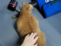 -蓝天射箭馆·专业射箭运动(诚丰广场店)