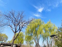 -三里河公园