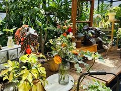 -北马山庄植趣咖啡