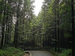 -山王坪喀斯特国家生态公园