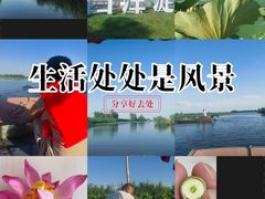 -白洋淀景区