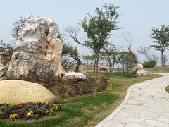 -鹅湖玫瑰文化园