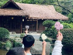 -中国茶叶博物馆(双峰馆区)