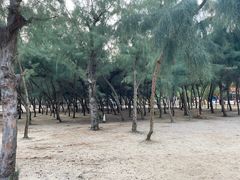 -三娘湾旅游风景区