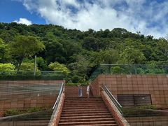 -香港大学