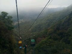 -王顺山国家森林公园