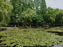 -范蠡湖公园