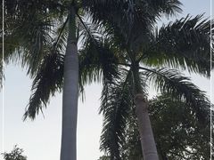 -广州市白云山风景名胜区