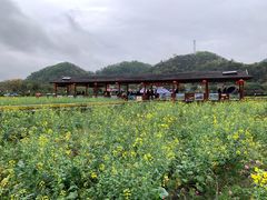 -红山村
