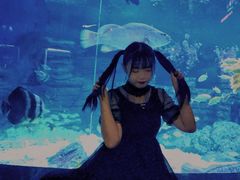 -烟台海昌鲸鲨海洋公园