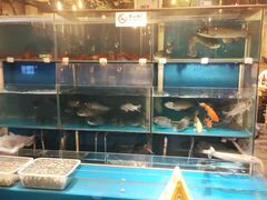 水产区-小俩口烧烤东北菜(双井店)