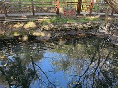 -五女峰国家森林公园