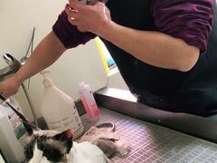 -宠颐生动物医院·小陆分院