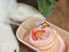 -狐狸和向日葵(北京路店)