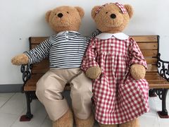 -济州岛泰迪熊博物馆