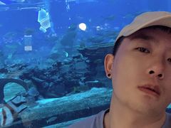 -亚特兰蒂斯•OSSIANO奥西亚诺海底餐厅