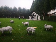 -九十九顶毡房(阜石路店)