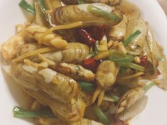 蛏子-阿杰臻选海鲜饭店(普陀山店)