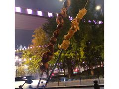 -新疆阿力烧烤