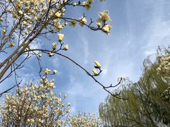 -九里河湿地公园