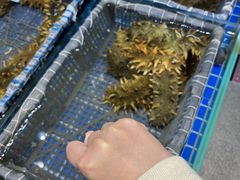 -桃源市场(解放路店)