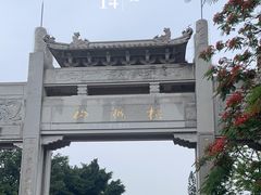 -梧桐山风景名胜区