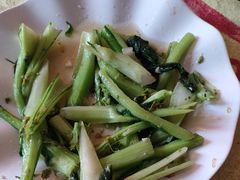 -荔枝红五号农庄
