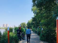 -长白岛森林公园