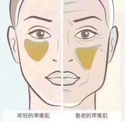 -MLP美丽派·问题肌疗愈中心