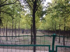 -汉景帝阳陵博物院