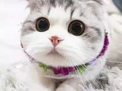 -星辉电影公园(时代广场CC MALL店)