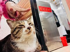 -玉椰林甜品店(创始店)