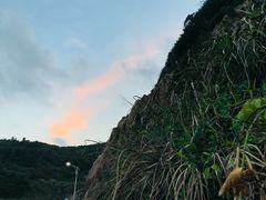 -枸杞岛