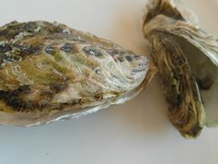 -港畔赶海蒸汽海鲜烧烤自助(仙螺岛店)