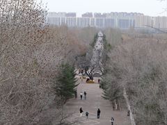 -乌素图国家森林公园