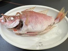 -吴记富苑(朝阳店)