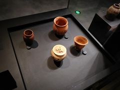 -盘龙城国家考古遗址公园