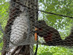 -泉州海丝野生动物世界