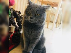 -Rabbit Cafe私房西餐甜点咖啡(栖霞路店)