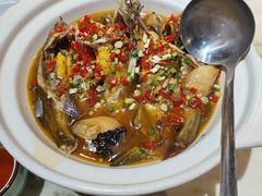 -野渡坡·极致湘菜·庭院餐厅(汉阳店)